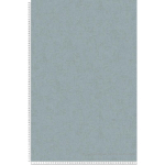 PAPIER PEINT UNI GRIS VERT POUR SALLE DE SÉJOUR TAPISSERIE VERTE DÉCO SCANDINAVE MODERNE PAPIER PEINT TENDANCE POUR CUISINE - BLEU,