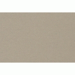 GOLDLINE CONTRECOLLÉ 10F A1 750G 1250 MICRONS - GRIS FUMÉ