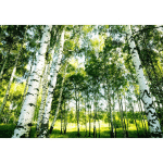 BRICOFLOR - PAPIER PEINT PANORAMIQUE FORÊT VERT | TAPISSERIE PANORAMIQUE ARBRE VERTE POUR SALON | PAPIER PEINT PANORAMIQUE IDÉAL COULOIR - 366 X 254