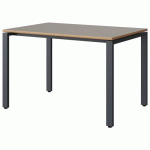 TABLE MALIBU 120X80 T6 SOUDÉ STRA ALAISÉ GRIS U727/GRIS 7016