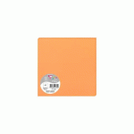 LOT DE 2 - PAQUET DE 25 CARTES SIMPLES POLLEN 160X160MM 210G/M2 - CLÉMENTINE