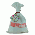 BRIQUES DE CONSTRUCTION LUDUS - POLYPRO EXPANSE - SACHET DE 80