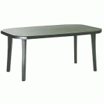 TABLE MIAMI 100 X 165 CM - VERT - GROSFILLEX