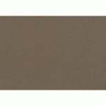 GOLDLINE CONTRECOLLÉ 10F A1 750G 1250 MICRONS - SÉPIA