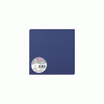 LOT DE 2 - PAQUET DE 25 CARTES SIMPLES POLLEN 160X160MM 210G/M2 - BLEU NUIT