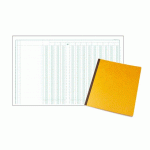 REGISTRE 13 COLONNES EXACOMPTA 4130E, 25 X 32 CM 80 PAGES