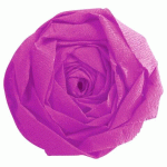 LOT DE 2 - PAPIER CRÉPON, PAQUET DE 10 FEUILLES PLIÉES 60% AU FORMAT 2,50X0,50M - CYCLAMEN