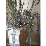 BRANCHES TOMBANTES