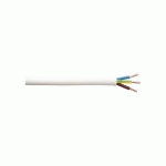 CÂBLE DOMESTIQUE H05VV-F BLANC 2,5MM² 5M - ELECTRALINE - 60107083J