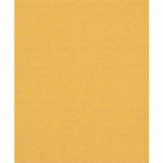 BOSCH 50 FEUILLE ABRASIVE BOIS ET PEINTURE C470 EXPERT 230X280MM - BOSCH