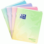 LOT DE 10 - CAHIER EASYBOOK FUSION PASTEL AGRAFE 170X220 96P ENDOSSE SEYES 96PAGES ASSORTI