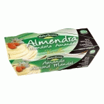 NATURGREEN DESSERT AUX AMANDES VANILLE BIO 2 X 125 G DESSERTS VÉGÉTAUX