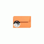 LOT DE 3 - PAQUET DE 20 ENVELOPPES POLLEN 90X140MM 120G/M2 - CLÉMENTINE