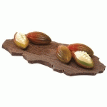 MATFER - PLAQUE 3 X 12 FÈVES DE CACAO - 383103