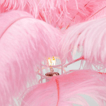 KARE FEATHER PALM LAMPE À POSER PLUMES, ROSE