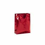 LOT DE 5 - SAC CADEAU 