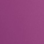 PORTES MULTICASES - PRUNE (LOT DE 2)