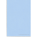 BRICOFLOR - PAPIER PEINT BLEU PASTEL CHAMBRE ENFANT TAPISSERIE CHAMBRE BÉBÉ BLEU UNIE PAPIER PEINT CHAMBRE GARÇON UNI INTISSÉ & LAVABLE - BLEU,