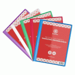 LOT DE 5 - PROTÈGE-DOCUMENTS BRUNEAU POLYPROPYLÈNE TRANSLUCIDE PERSONNALISABLE A4 10 POCHETTES - 20 VUES COULEURS ASSORTIES