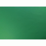 PAPIER COULEUR RECYCLÉ, PAQUET DE 25 FEUILLES 270G/M2 SOUS/FILM AU FORMAT 50X70CM - VERT EMPIRE
