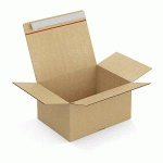 CAISSE CARTON BRUNE SIMPLE CANNELURE MONTAGE INSTANTANÉ FERMETURE ADHÉSIVE RAJA 34,5X25,5X13 CM