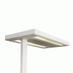 GLAMOX LAMPADAIRE LED FREE-F 4000K DIMMABLE CAPTEUR BLANC