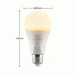 PRIOS AMPOULE LED E27 A65 15 W BLANC 2 700 K X10