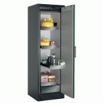 ARMOIRE SÉCURITÉ Q-PEGASUS-90 Q90.195.060.WDACR GRIS/VERT - ASECOS