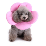 DONTODENT - COLLIER DE RÉCUPÉRATION CONFORTABLE COLLERETTE DE PROTECTION POUR CHIEN CHATS, LAVABLE, FLEURS ROSES,L