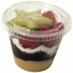 COUVERCLE PLAT SANS TROU POUR COUPE DESSERT 21CL ET 27CL X 1000 FIRPLAST