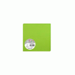 LOT DE 2 - PAQUET DE 25 CARTES SIMPLES POLLEN 135X135MM 210G/M² - VERT MENTHE