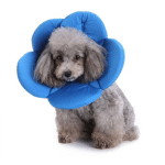 DONTODENT - COLLIER DE RÉCUPÉRATION CONFORTABLE COLLERETTE DE PROTECTION POUR CHIEN CHATS, LAVABLE, FLEUR BLEUE,L