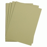 ETIVAL COLOR PAQUET 5F A4 160G - VERT AMANDE - LOT DE 5