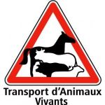 PANNEAU DE SIGNALISATION''TRANSPORT D'ANIMAUX VIVANTS''