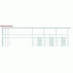 PIQÛRE 297X21CM À TÊTE PARESSEUSE 8 COLONNES SUR 2 PAGES - EXACOMPTA