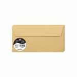 PAQUET DE 20 ENVELOPPES POLLEN 110X220MM 120G/M² - CARAMEL - LOT DE 4