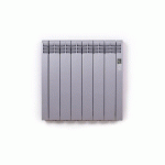 RADIATEUR ÉLECTRIQUE À FLUIDE CALOPORTEUR - 750W - SÉRIE D - GRIS 7042 ROINTE