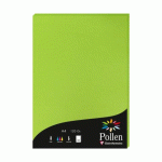 LOT DE 2 - ETUI DE 50 FEUILLES POLLEN 210X297MM 120G/M2 - VERT MENTHE