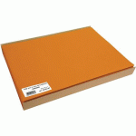 SET DE TABLE 30X40 CM NON TISSÉ SPUNDON MANDARINE - COGIR