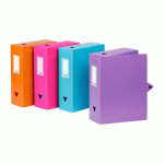 LOT DE 4 - BOÎTE DE CLASSEMENT PLASTIQUE ESSENTIEL VIQUEL DOS 10 CM COULEURS TENDANCE ASSORTIES
