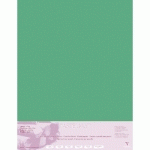 PASTELMAT PAQUET 5F 70X100CM 360G - VERT FONCÉ