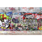 PAPIER PEINT INTISSÉ GRAFFITI - PEINTURE MURALE GRAND - DIMENSION HXL: 255CM X 384CM