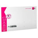 ENVELOPPES LETTRES SUIVIES PRÊTES-À-POSTER 229 X 324 MM - LOT DE 10