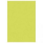 CLAIREFONTAINE ETUI 50 FEUIL POLLEN FORMAT 210X297 MM COLORIS VERT BOURGEON 120 GRAMMES RÉFÉRENCE 44205
