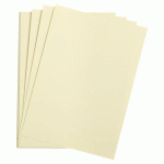 LOT DE 5 - ETIVAL COLOR PAQUET 5F A4 160G - VERT TILLEUL