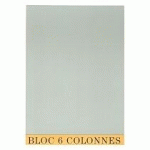 BLOC DE CONTRÔLE COMPTABLE 6 COLONNES EXACOMPTA 5706E