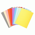 CHEMISE STANDARD 170 EXACOMPTA FOREVER® 24 X 32 CM COULEURS ASSORTIES - PAQUET DE 50