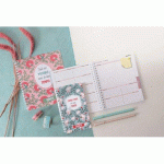AGENDA DE BUREAU LADY 16S SPIRALÉ DODO & CATH 9 X 16 CM - ANNÉE 2026 MOTIF TEMPS