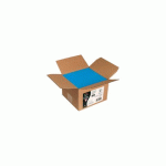 CARTON DE 200 ENVELOPPES POLLEN 114X162MM 120G/M² - BLEU TURQUOISE