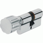 CYLINDRE À BOUTON VARIÉ À PROFIL EUROPÉEN - 30 X B50 MM - K82 ABUS